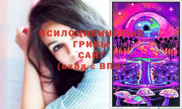 спайс Пестово