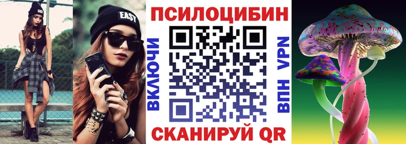 блэк спрут вход  Порхов  Псилоцибиновые грибы ЛСД 