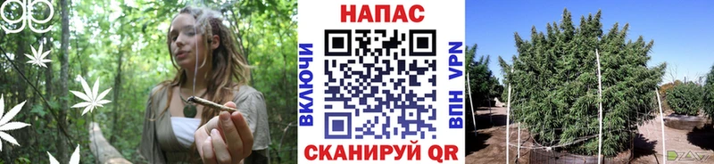 Бошки Шишки LSD WEED Порхов